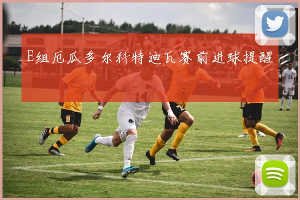 E组厄瓜多尔科特迪瓦赛前进球提醒